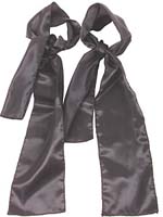 Silk Seductions Silk Ties