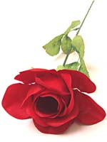 Fleur D Amour Rose Game