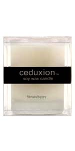 Strawberry Frosted Glass Soy Wax Candle In A Box