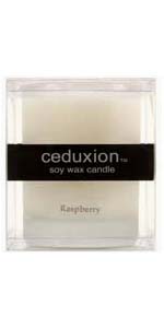 Raspberry Frosted Glass Soy Wax Candle In A Box