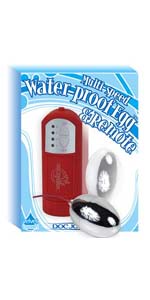 Silver Egg with Red Waterproof Controller - DJ1664-01