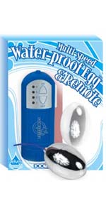 Silver Egg with Blue Waterproof Controller - DJ1664-02