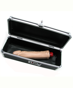 Lockable Vibe Case, Black [Medium]