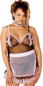 Parisian Maid 4 Piece Plus Size Costume
