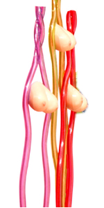 Neon Boobie Straws ~ PD6218-99