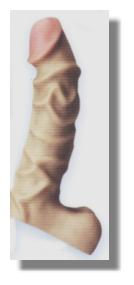 Raging Hard-On  Ballsy 7 Inch Flesh