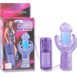Fujikos Asian Odyssey Vibrator
