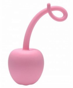 Pig Tail Silicone Anal Plug