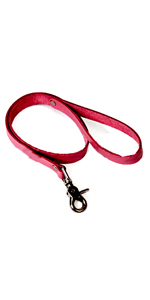 Pink Basics Leash  ~  KL246