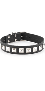 Spartacus 1 Inch Studded Collar ~  SPL-8J-5