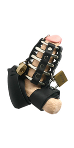Strict Leather Gates of Hell Chastity Device ~ XR-SP350