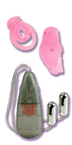 Diving Dolphin Kit ~ SE0876-04