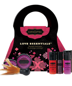 Kama Sutra Love Essentials Travel Purse Kit