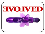 Evolved Novelties