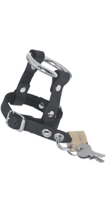 Locking Cock and Ball Harness ~ SPL-06L