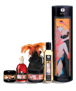 Shunga Carnal Pleasures Collection