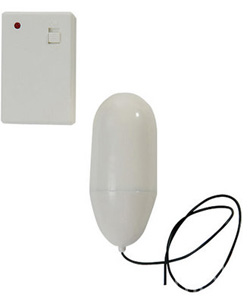 Wireless Remote Control Egg