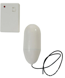 Remote Control Ivory Vibrating Egg