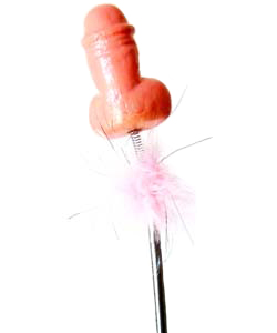 Bachelorette Wiggly Penis Wand[EL-7860-27]