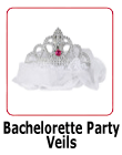 Bachelorette Party Veils
