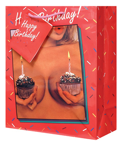 Happy Birthday Womens Cupcakes Gift Bag[EL-5990-01]