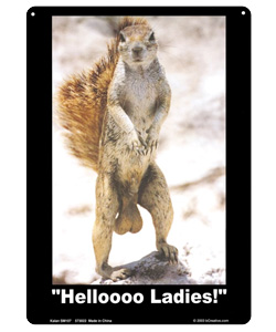 Helloooo Ladies Tin Sign [EL-7103-07]