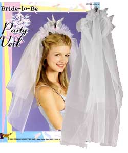 Bride To Be Party Veil [EL-7858-05]