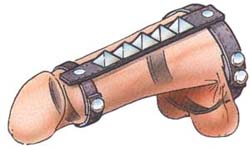 Cock and Ball Harness Studded