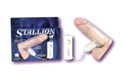Stallion See-Through